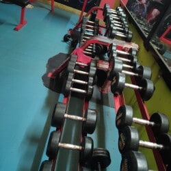Gyms in Akota, Vadodara - Page 2