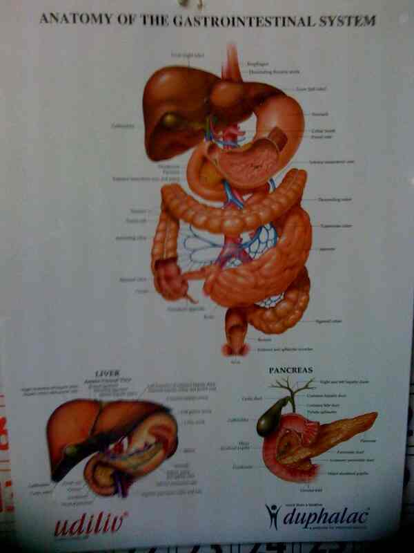 Catalogue Shaili Endoscopy in Vadodara Justdial