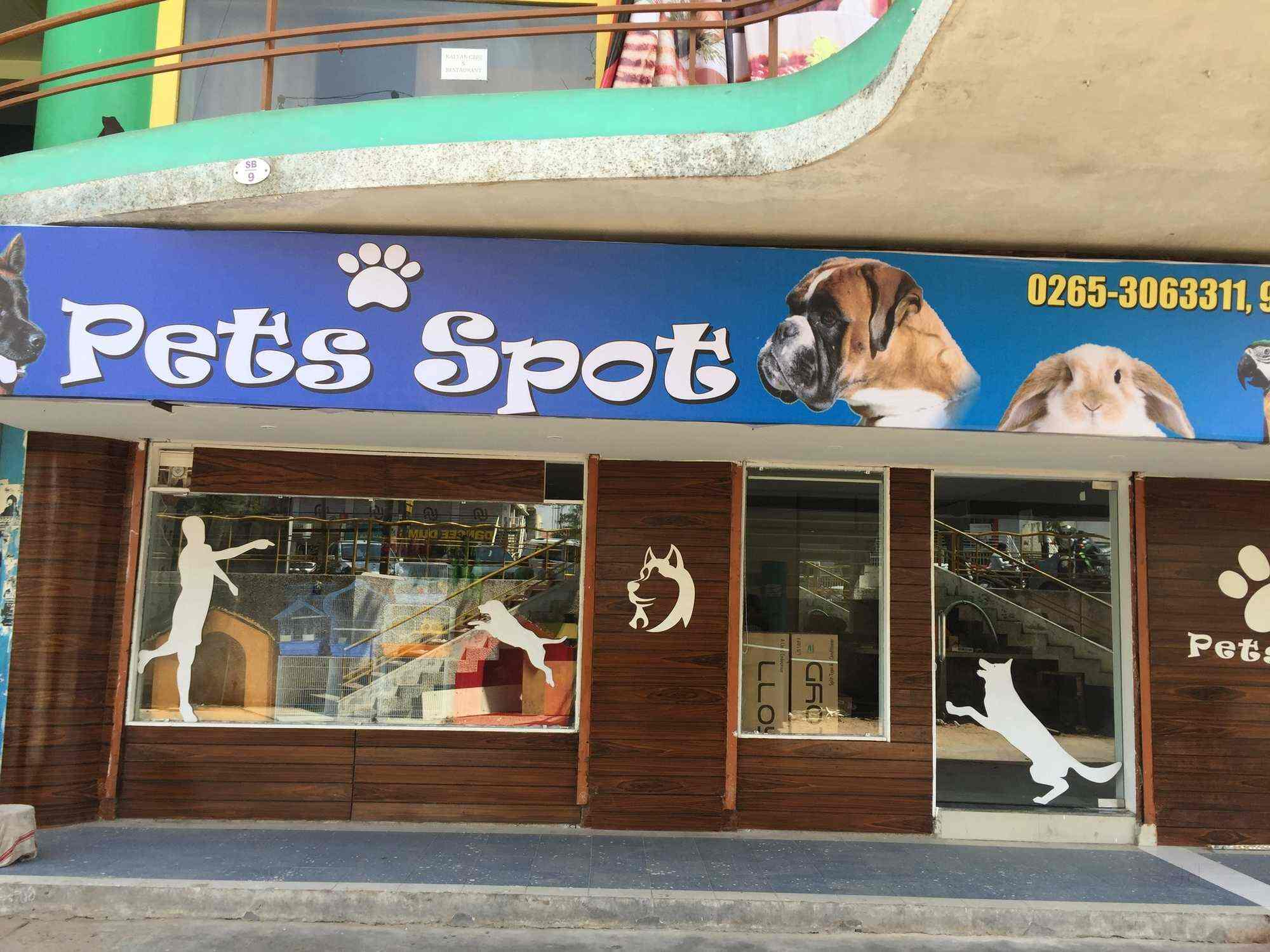 Are Dogs Allowed In Pet Shops