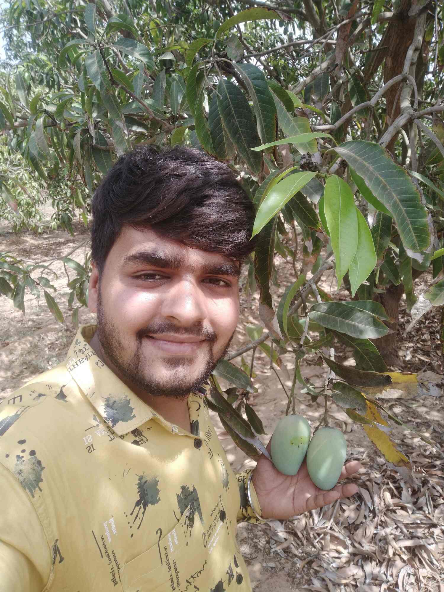 Catalogue Jmd Fruit Rajabhai in Kevdabaug , Vadodara Justdial