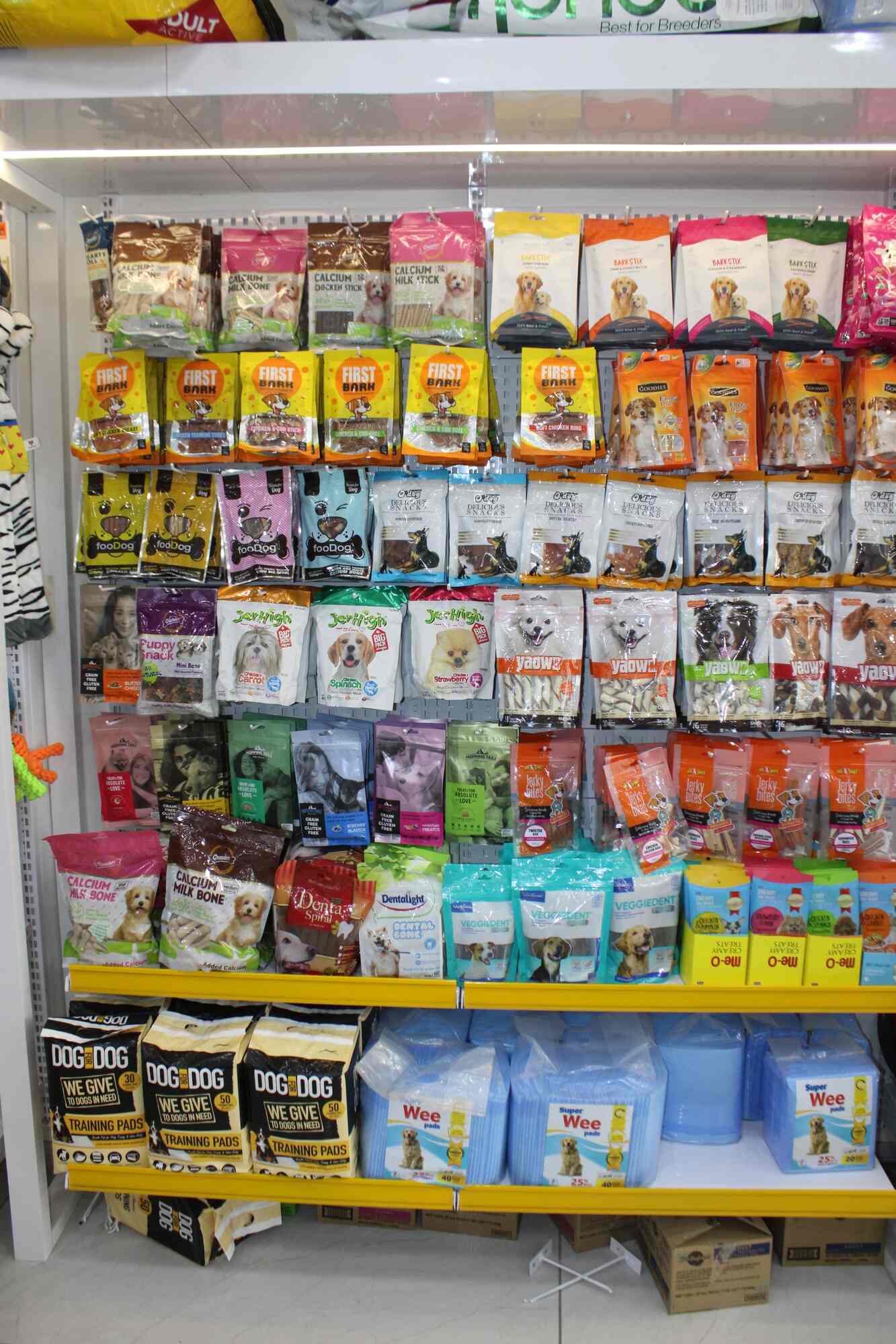 Paws and Claws The Complete Pet Shop in Karelibaug,Vadodara Best Pet Shops in Vadodara Justdial