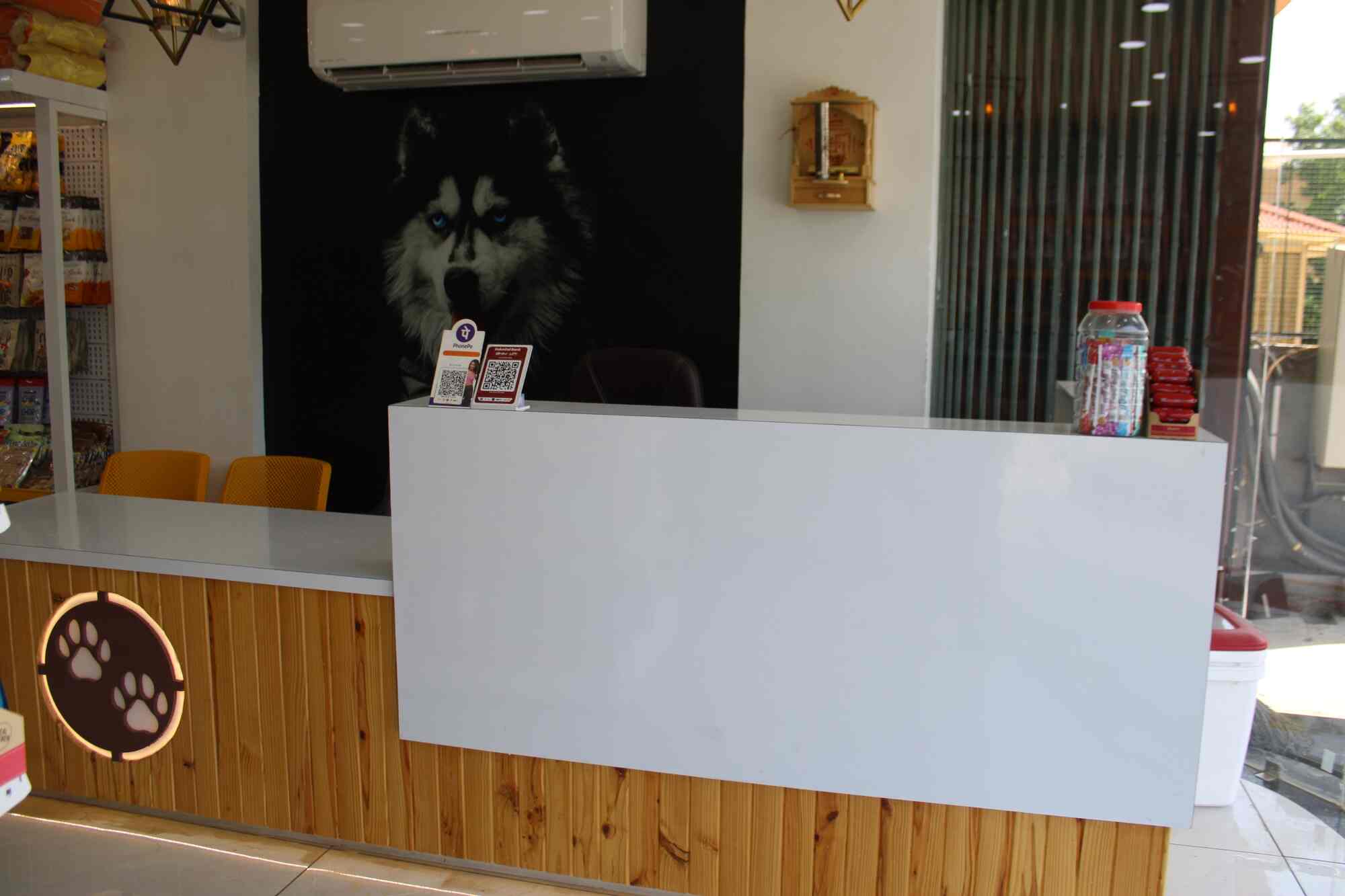 Paws and Claws The Complete Pet Shop in Karelibaug,Vadodara Best Pet Shops in Vadodara Justdial