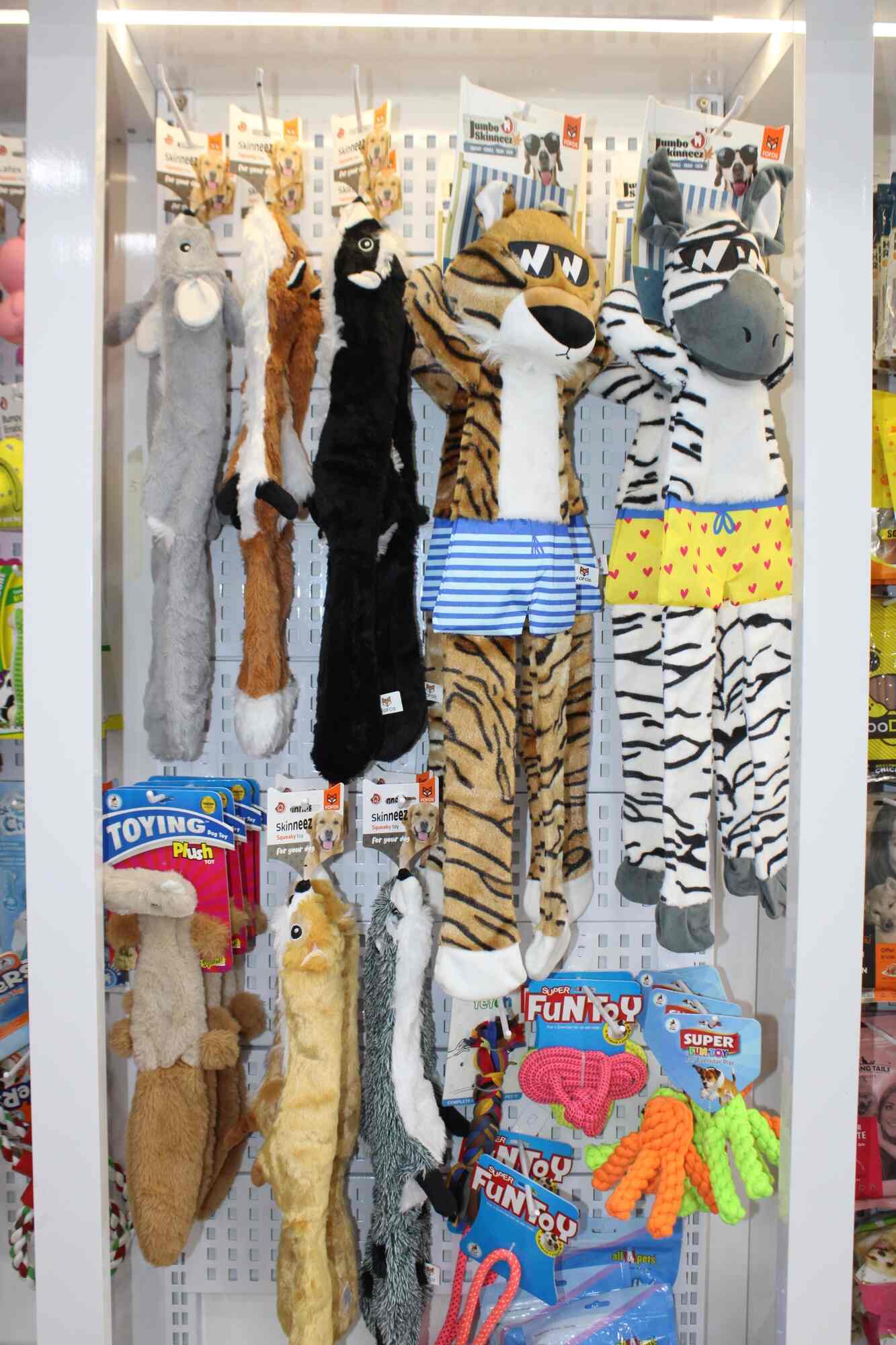 Paws and Claws The Complete Pet Shop in Karelibaug,Vadodara Best Pet Shops in Vadodara Justdial