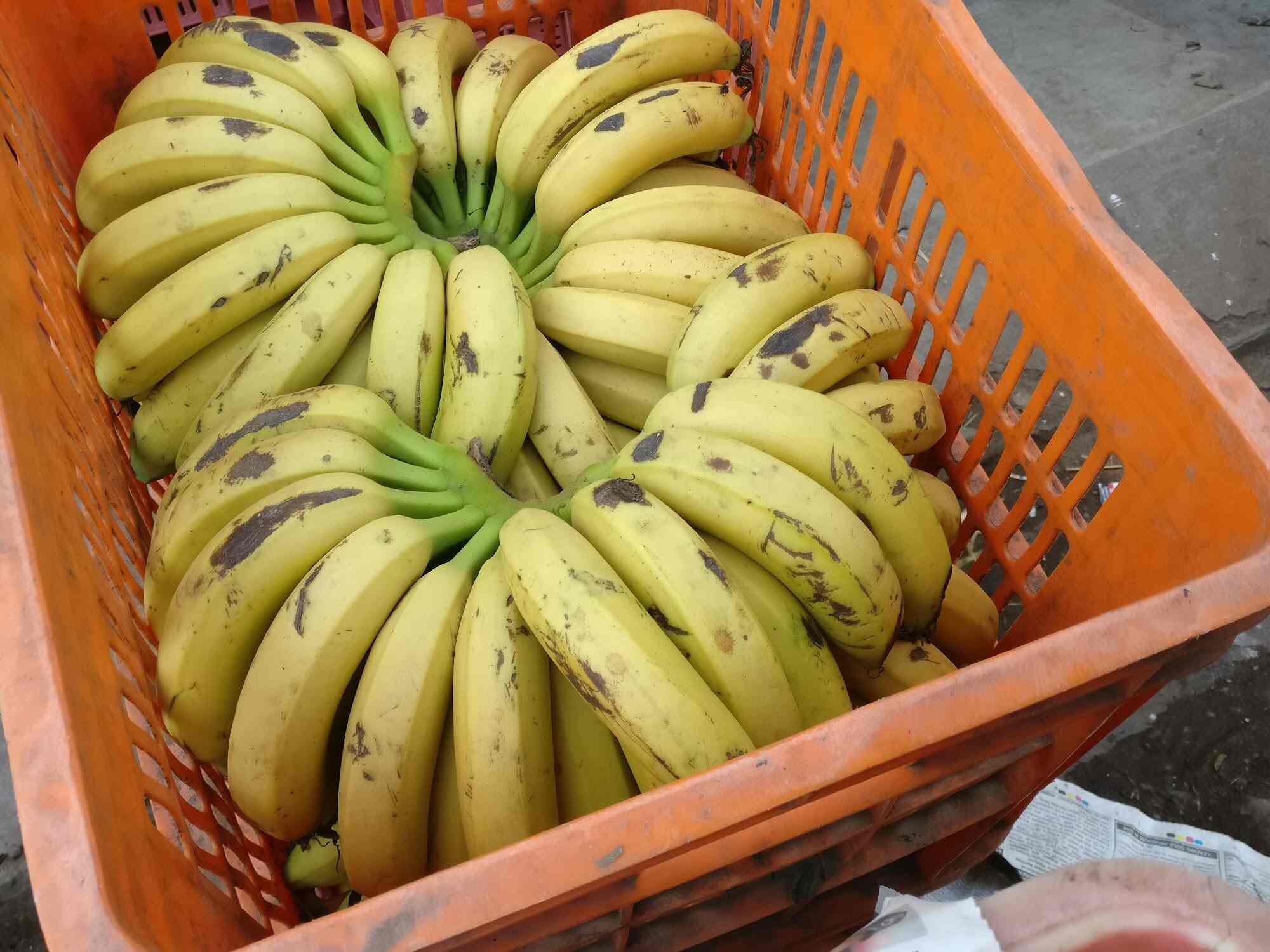 Top Commission Agents For Fruit in Savli Best Fruit Commission Agents Vadodara near me Justdial