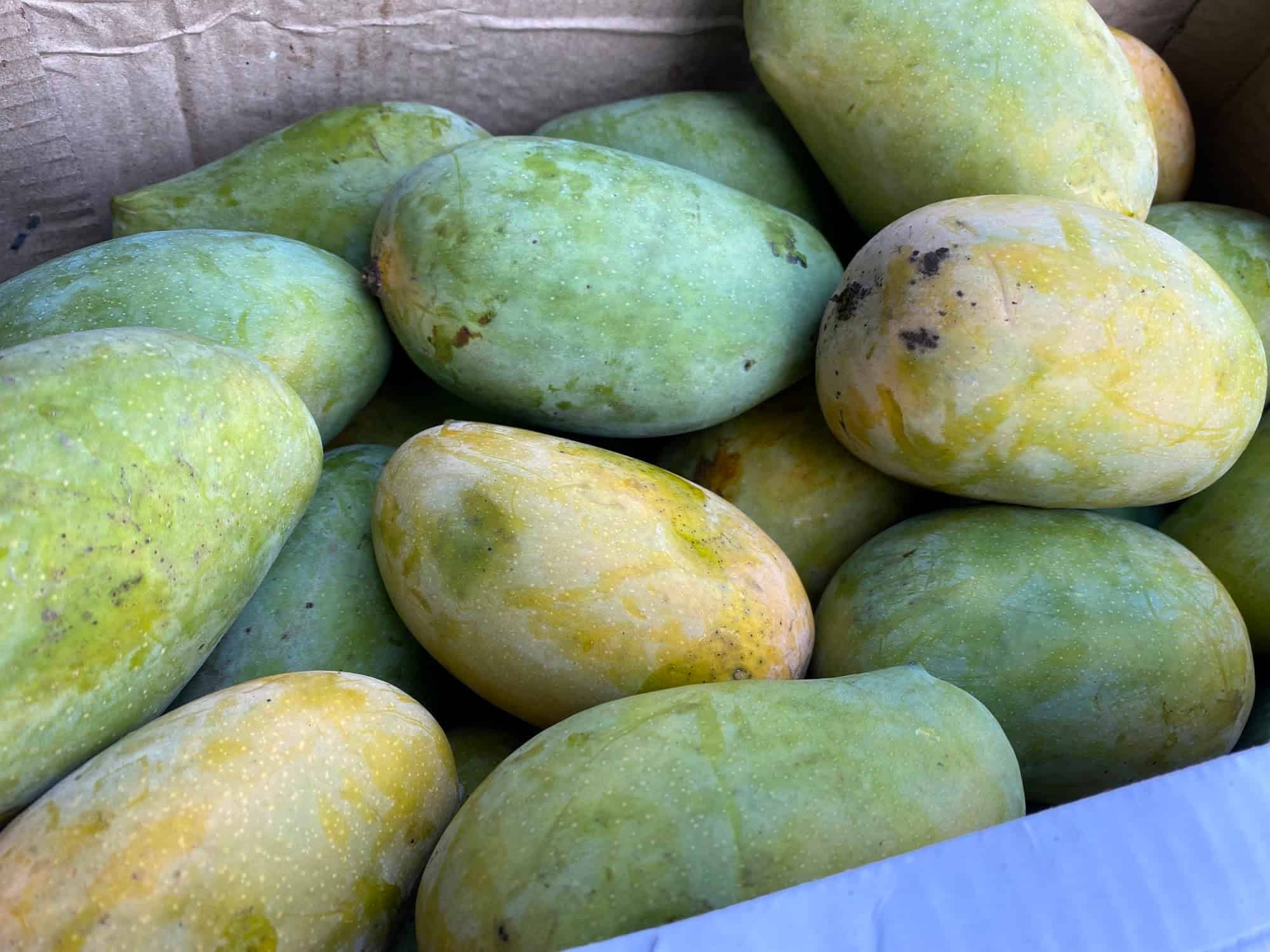 Top Commission Agents For Fruit in Savli Best Fruit Commission Agents Vadodara near me Justdial