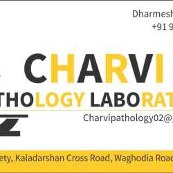 Lab view 3