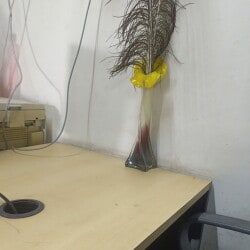 Lab view 7