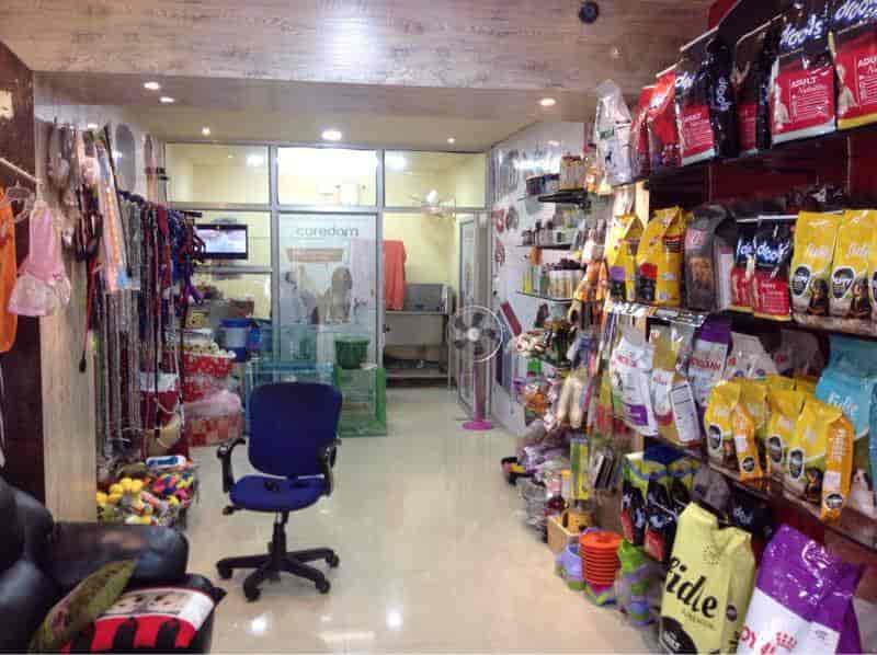 american pet store