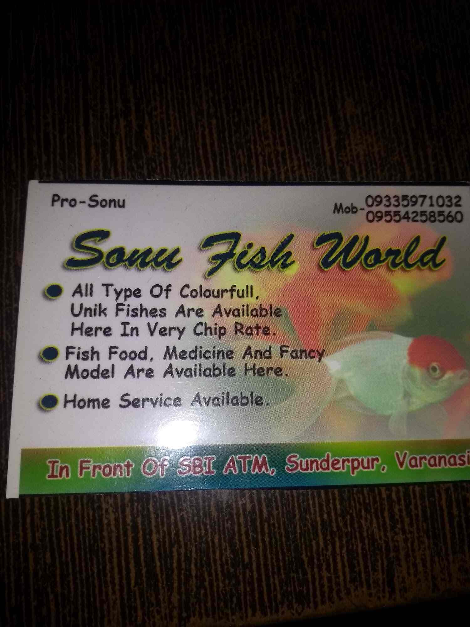 Sonu Fish World in Sunderpur,Varanasi Best Aquariums in Varanasi