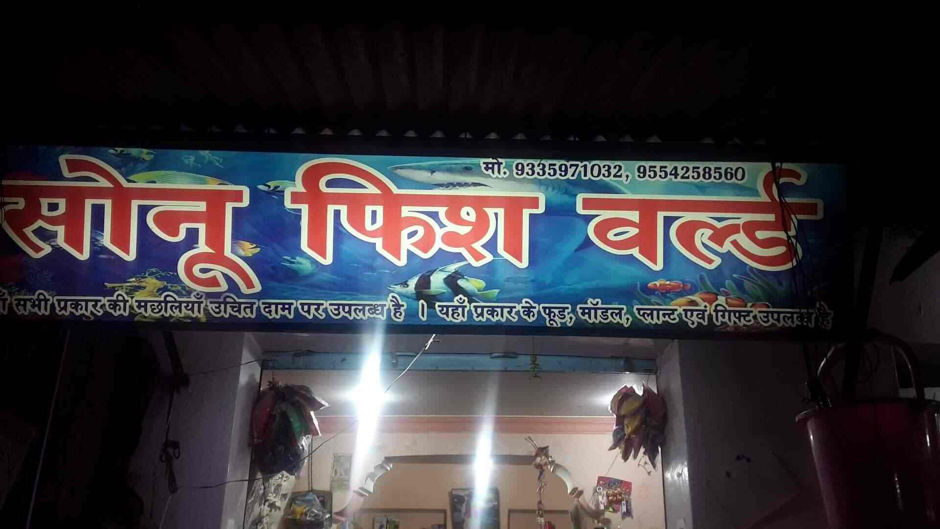 Sonu Fish World in Sunderpur,Varanasi Best Aquariums in Varanasi