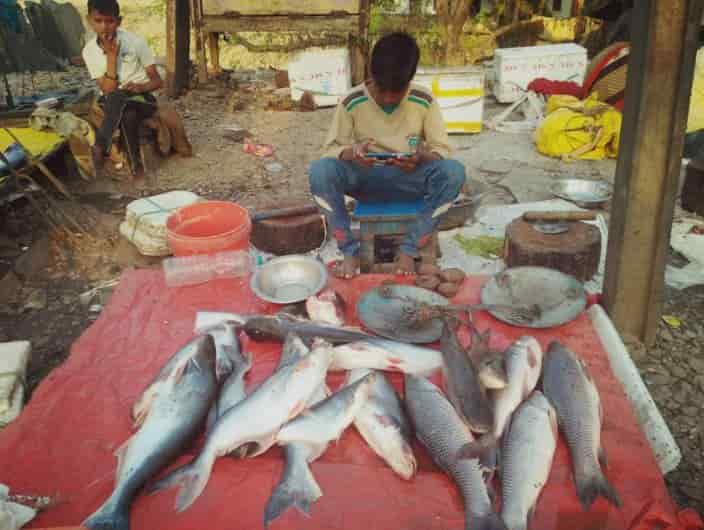 Top Fish Markets in Esi Road Noida Sector 22 - Best Seafood Market
