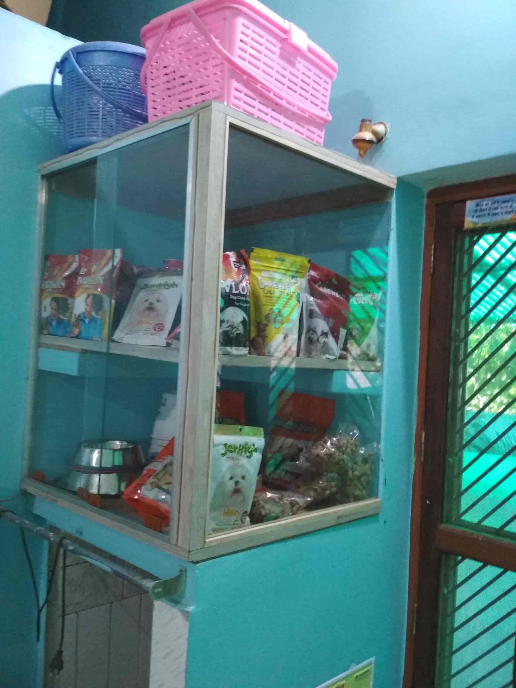 Top Pet Shops For Pug Dog in Varanasi Best Pet Stores For Pug Dog