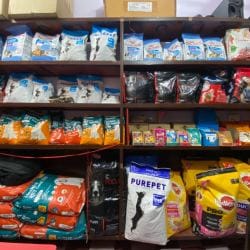 Top Pet Shops For Shih Tzu Dog in Varanasi - Best Pet Stores For ...
