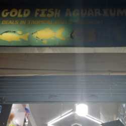 Fish tank best sale deals near me