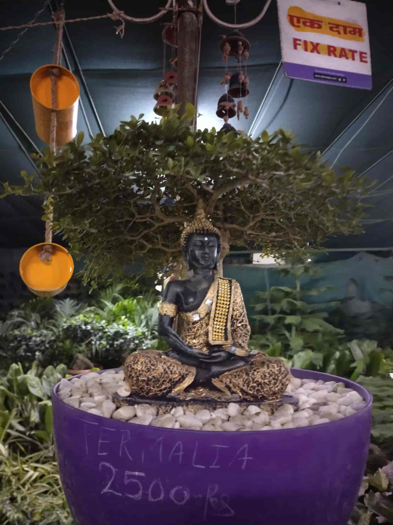 Top Plant Nurseries in Varanasi Best Goverment Plant Nurseries near