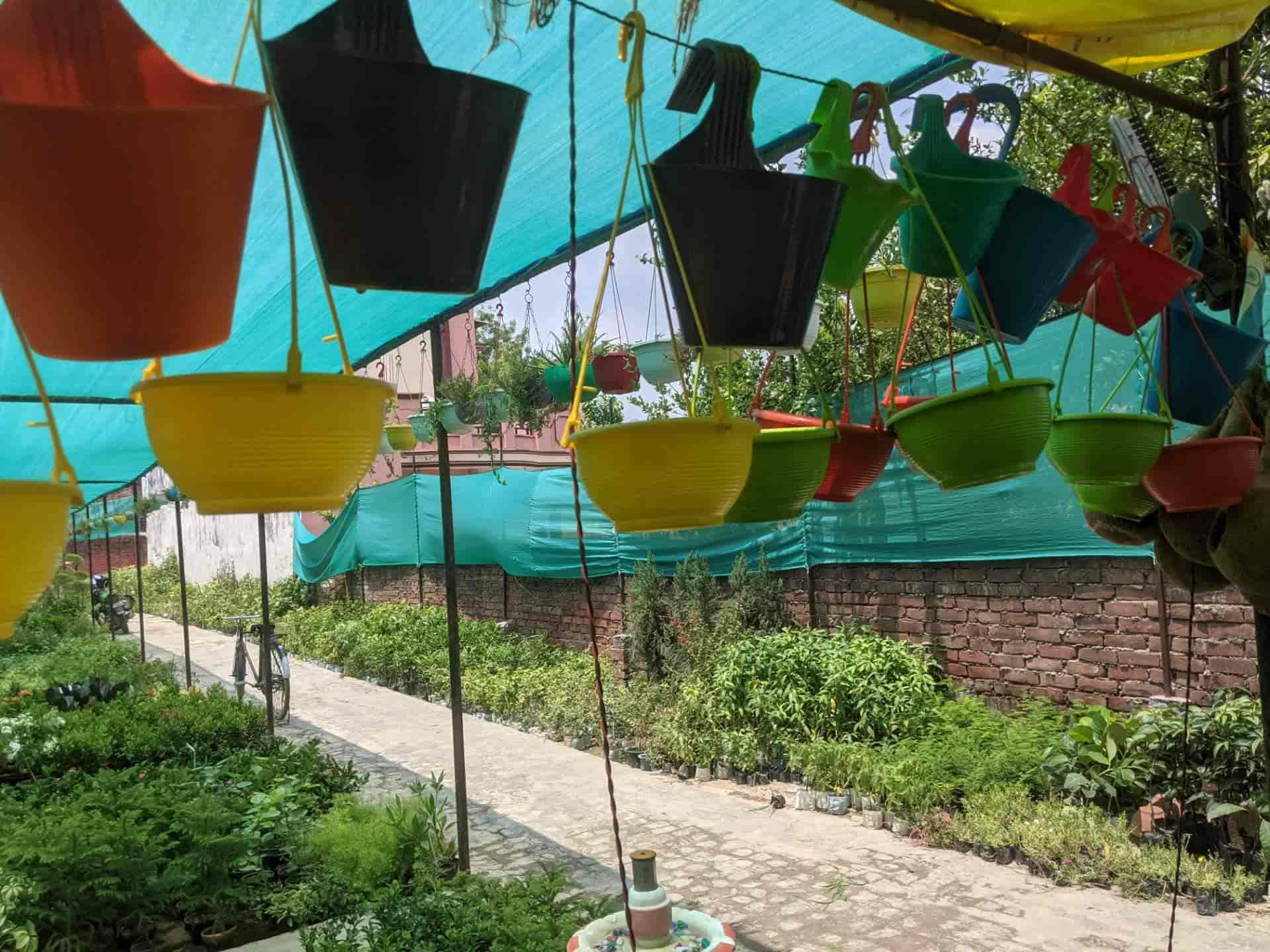 Top Plant Nurseries in Varanasi Best Goverment Plant Nurseries near