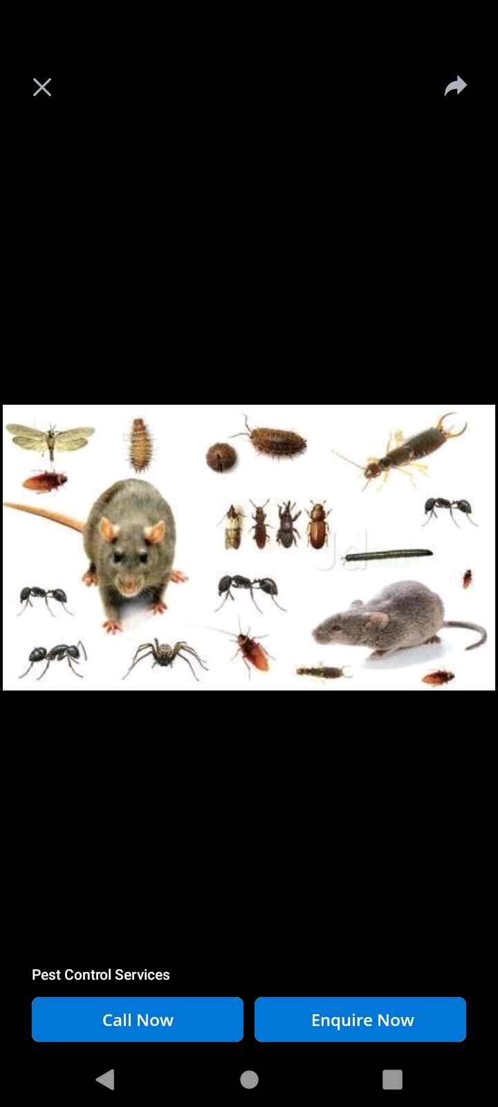 Urban Solution in Lohta,Varanasi Best Pest Control Services in