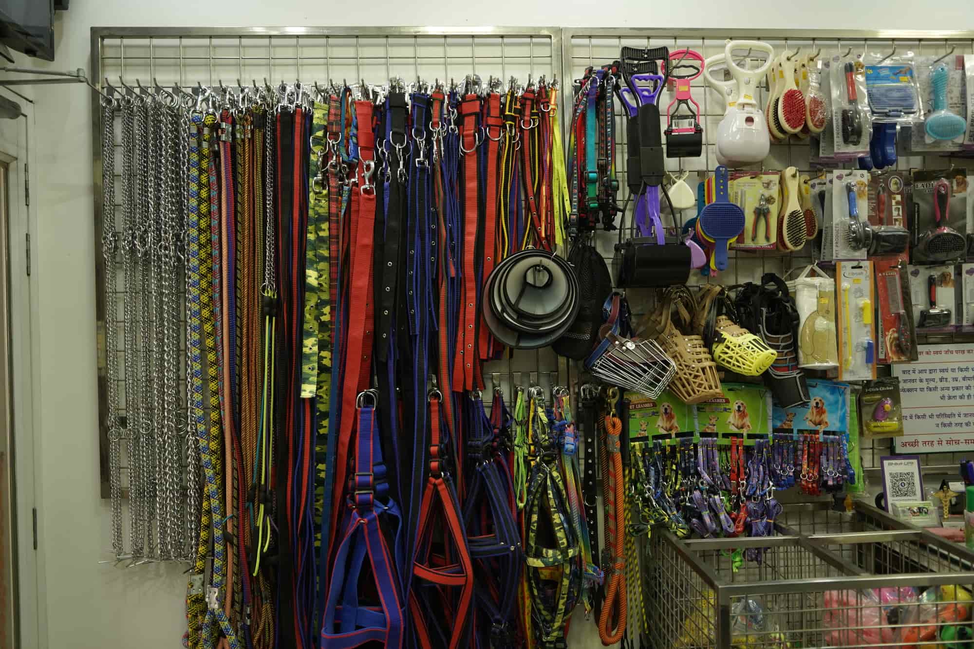 Harsh Dog Kennel in Sigra,Varanasi Best Pet Shops in Varanasi Justdial