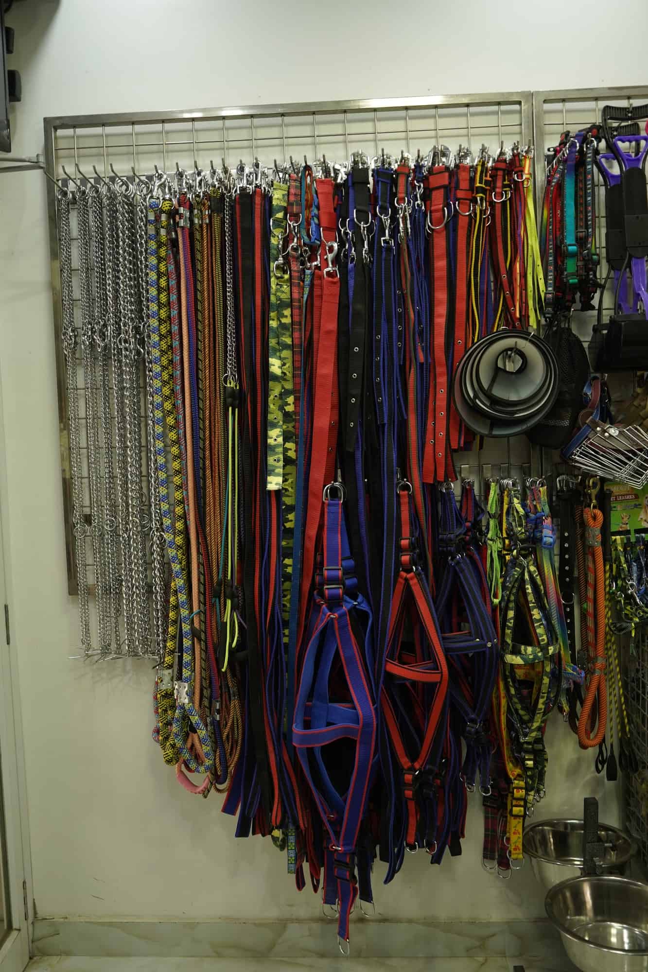 Harsh Dog Kennel in Sigra,Varanasi Best Pet Shops in Varanasi Justdial