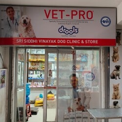 Dog clinic sale varanasi