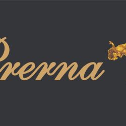 Prerna#erica | Erica fernandes, Cute stars, Celebrities