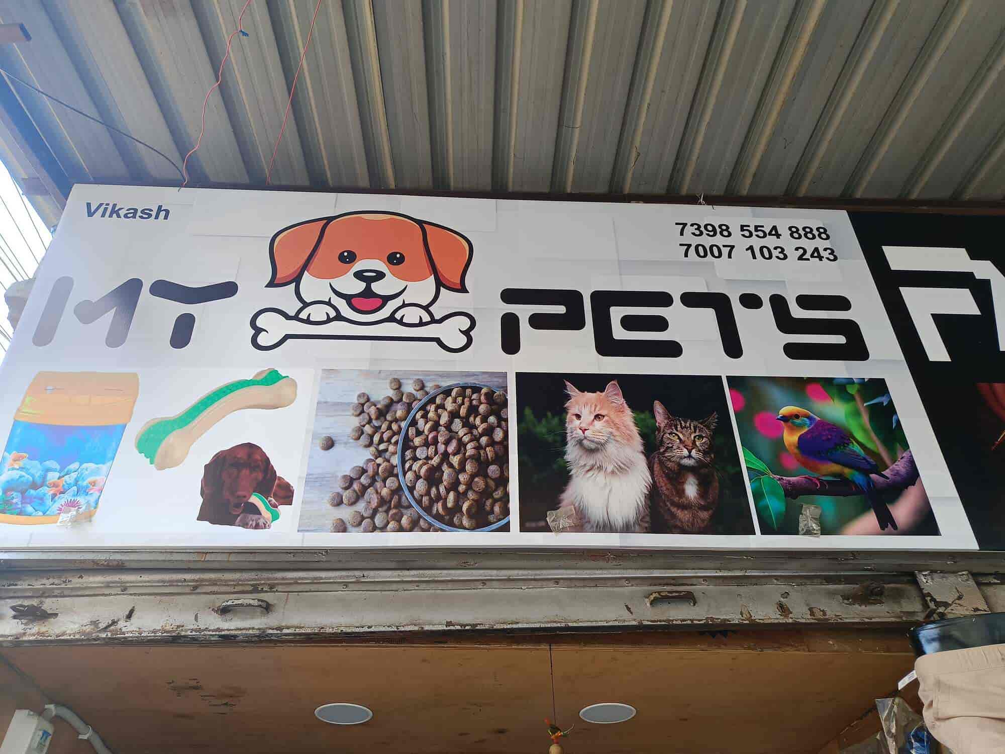 M Y Pets in Kamaccha,Varanasi Best Pet Food Dealers in Varanasi