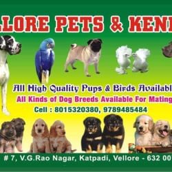 Dog breed shop near me 2025