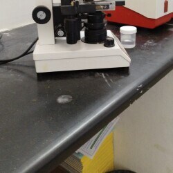 Lab view 5