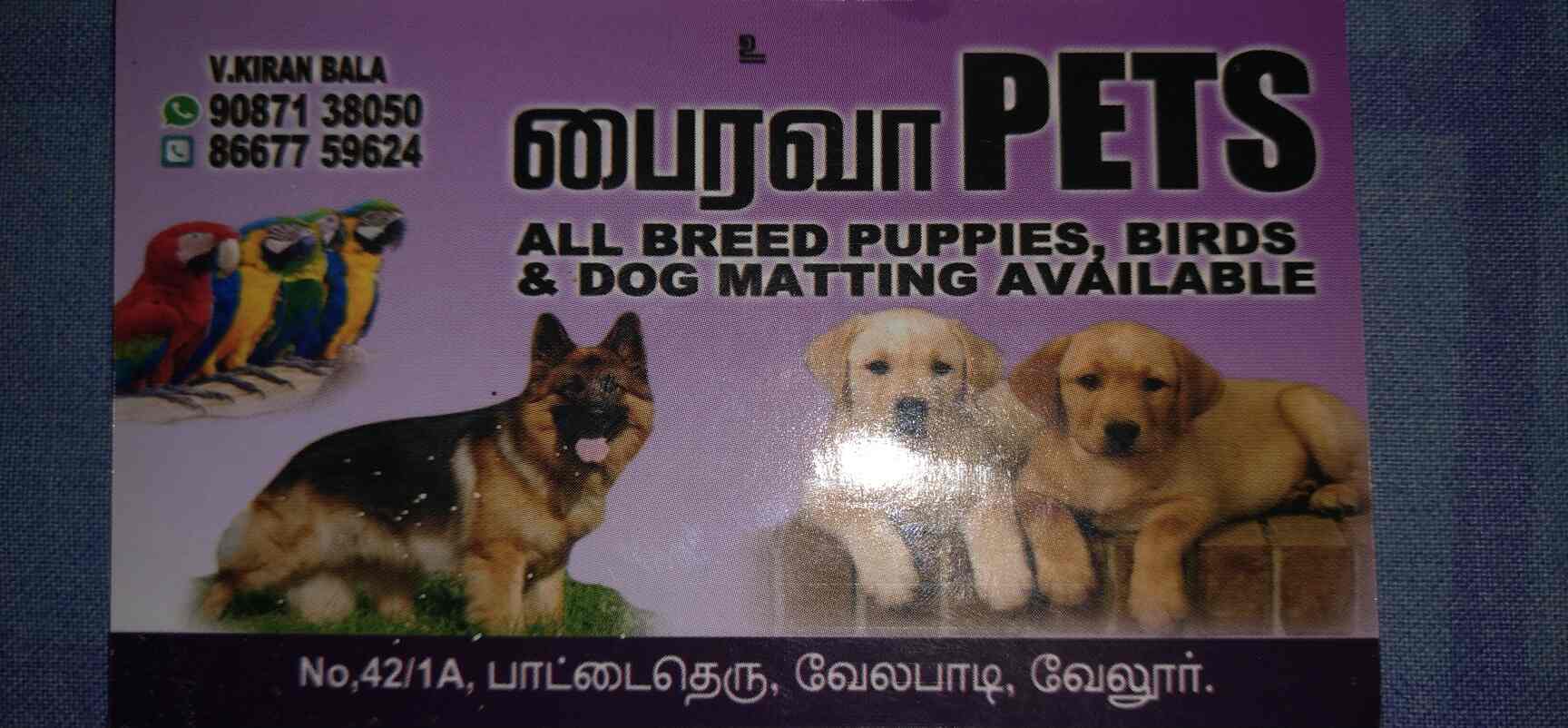 Bhairava Pets & Kennel in Jay Murugan Theatre,Vellore Best Dog Kennel Dealers in Vellore