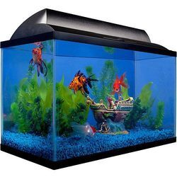 Fish tank price deals