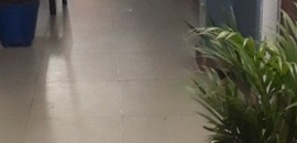 Top 20 Mens Pg In Benz Circle Vijayawada Best Pg For Boys Justdial It means that the pg accommodation that sai niwas paying guest in delhi is one of the best men professional pg. justdial