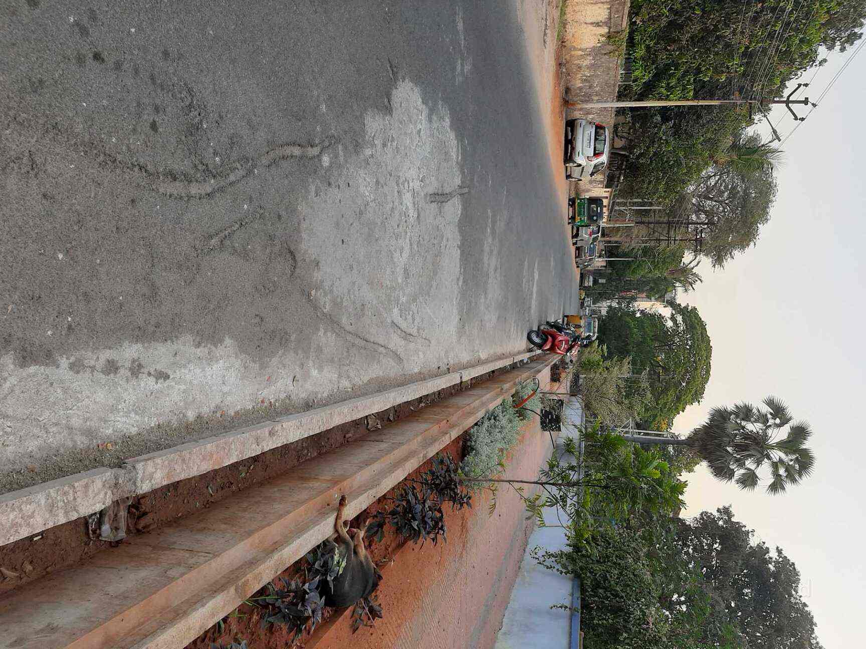 Lk Real Estate& Consultancy in Gannavaram,Vijayawada Best Estate