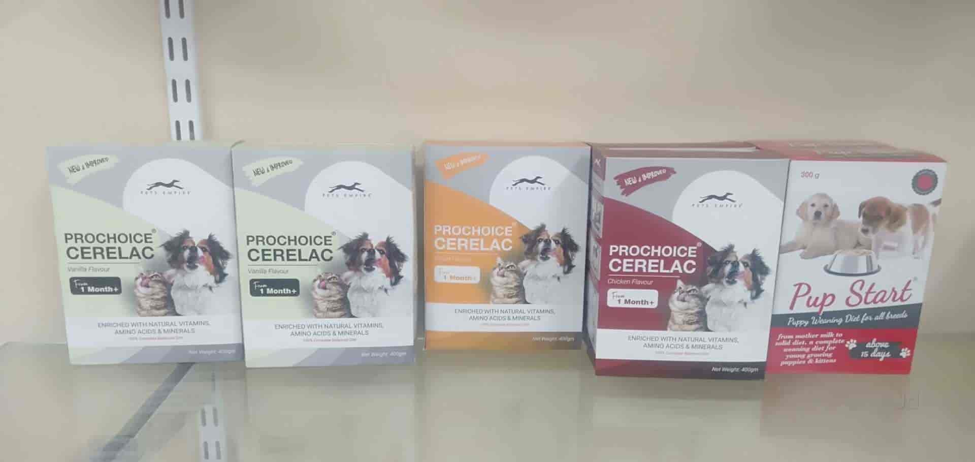 4Leg Friends Pet Food & Accessories in Poranki,Vijayawada Best Cat