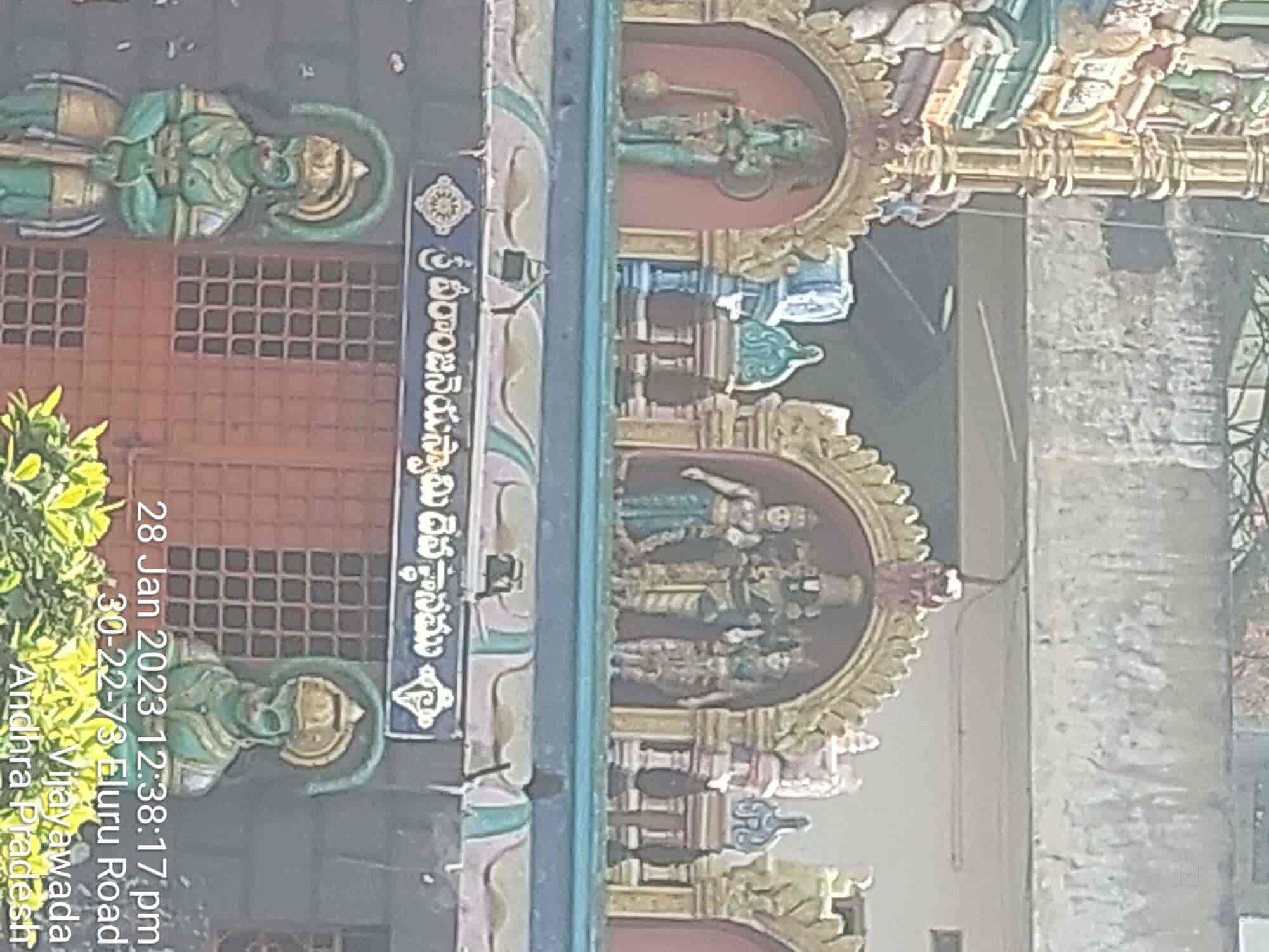 Crazy Flower Shop in Eluru Road,Vijayawada Best Flower Shops in