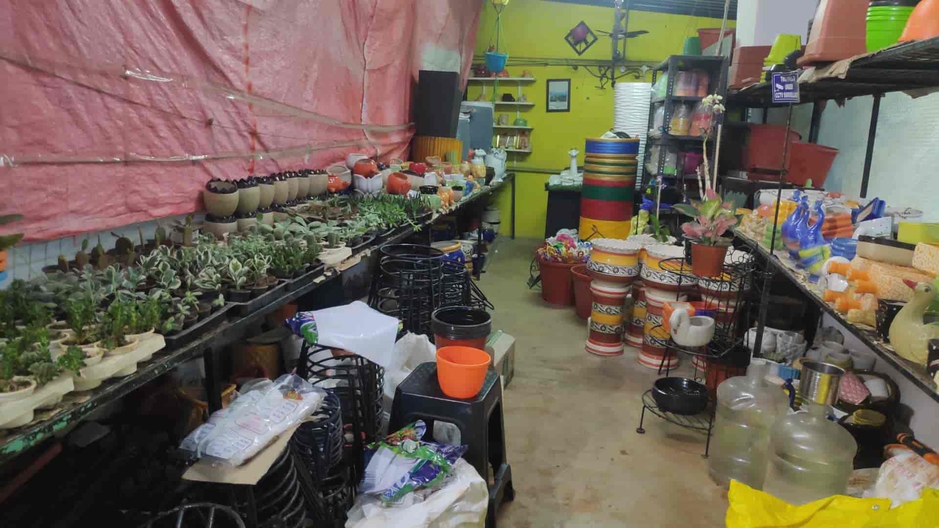 The Plant Shop in Gunadala,Vijayawada Best Fruit Plant Nurseries in