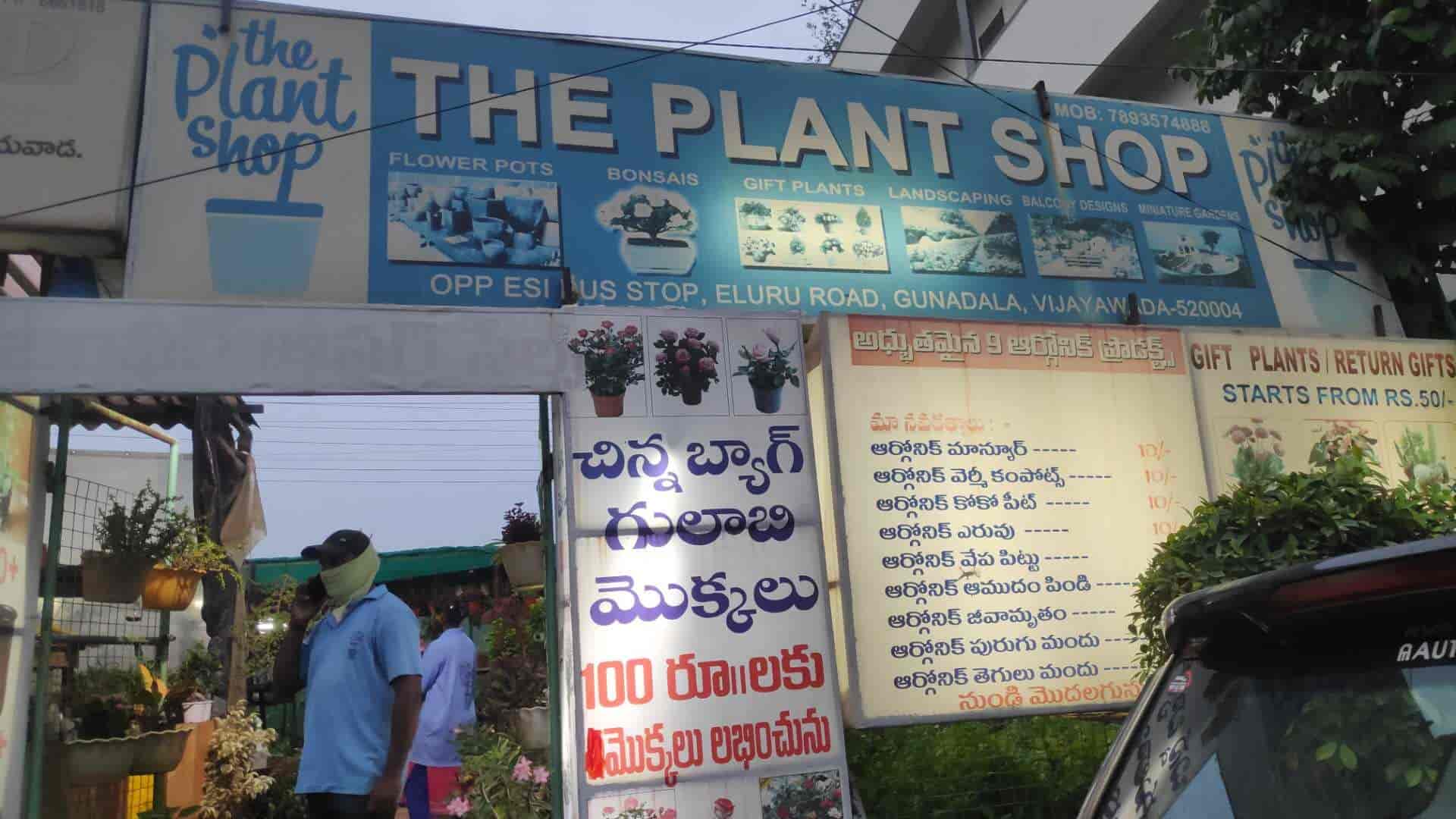 The Plant Shop in Gunadala,Vijayawada Best Fruit Plant Nurseries in