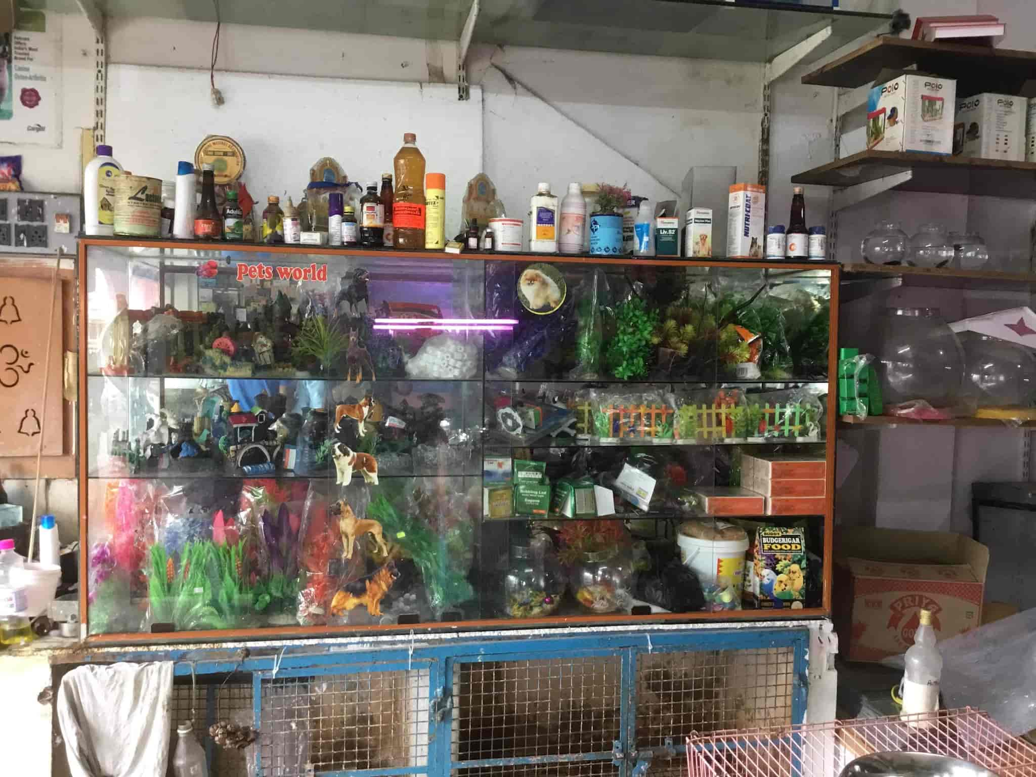 Top Pet Shops For Dog in Besant Road,Vijayawada Best Pet Supplies