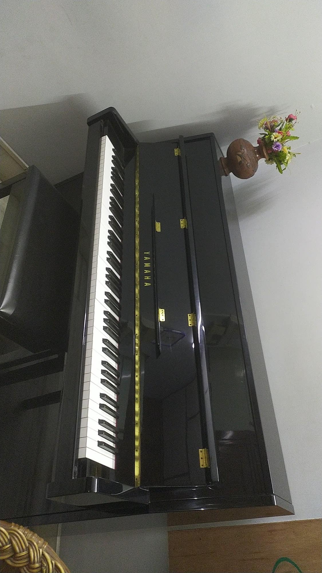 Top Institutes For Music in Vijayawada Best Music Training Institutes