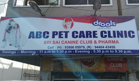 Abc Pet Care in Gandhi Nagar Vijayawada Best Pet Clinics in