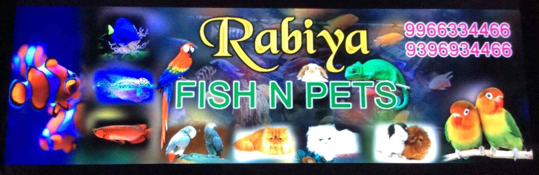 Rabiya Fish N Pets, Arundalpet Pet Shops in Vijayawada Justdial