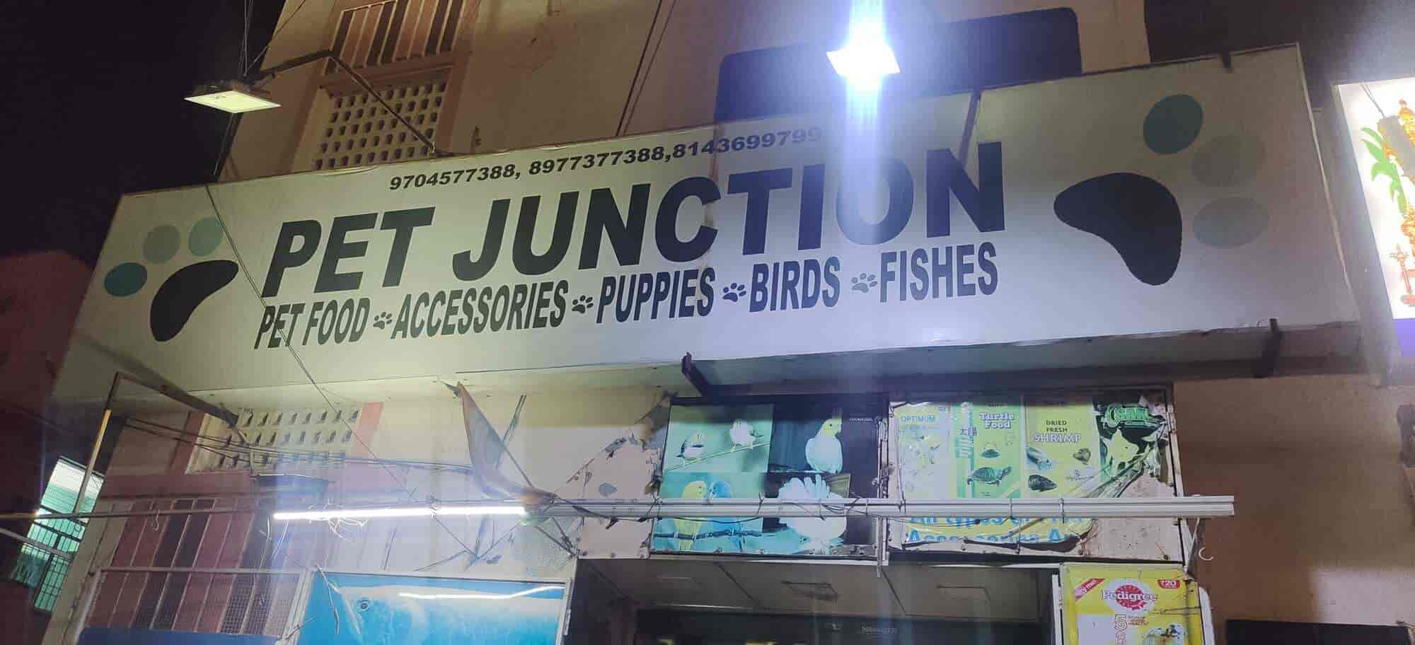 Top Pet Shops For Dog in Besant Road,Vijayawada Best Pet Supplies