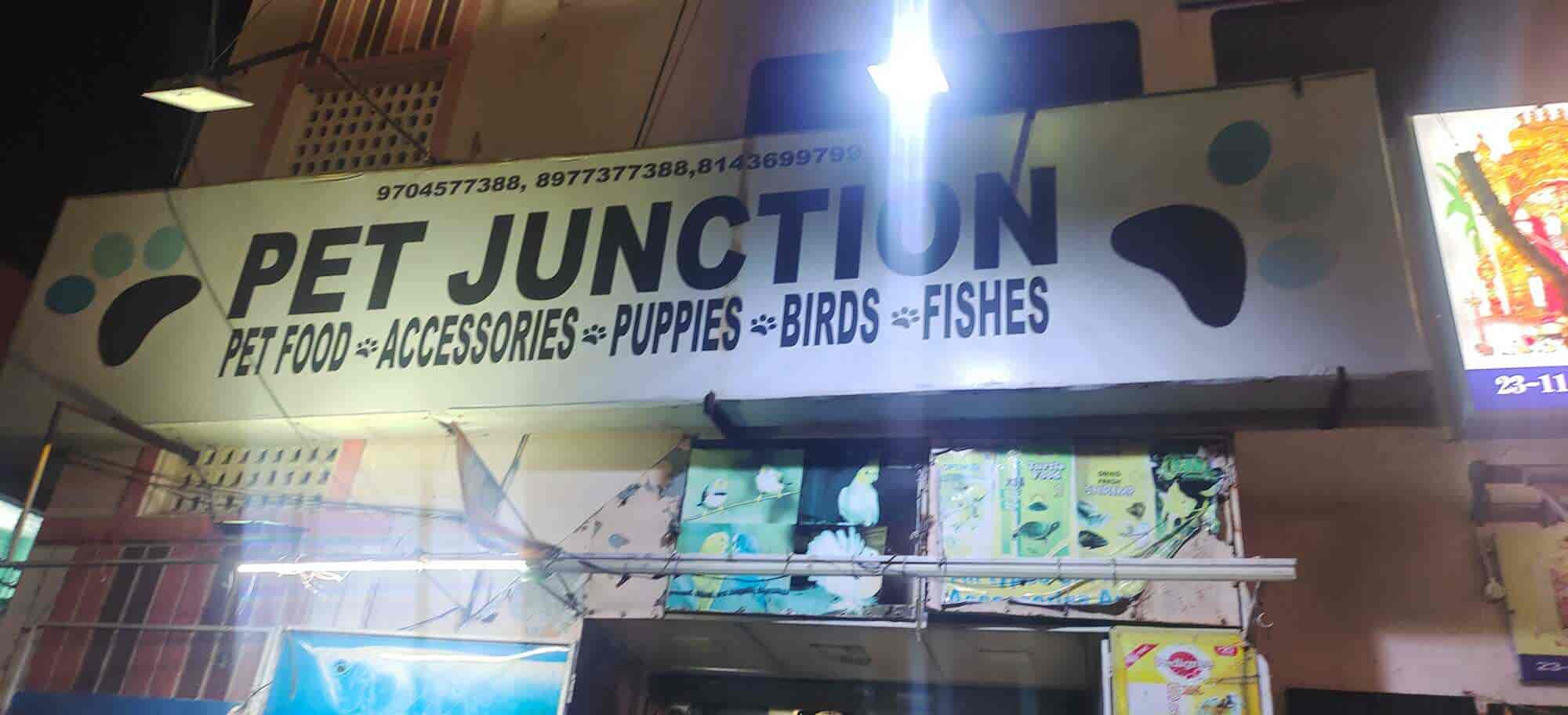 Top Pet Shops For Dog in Besant Road,Vijayawada Best Pet Supplies