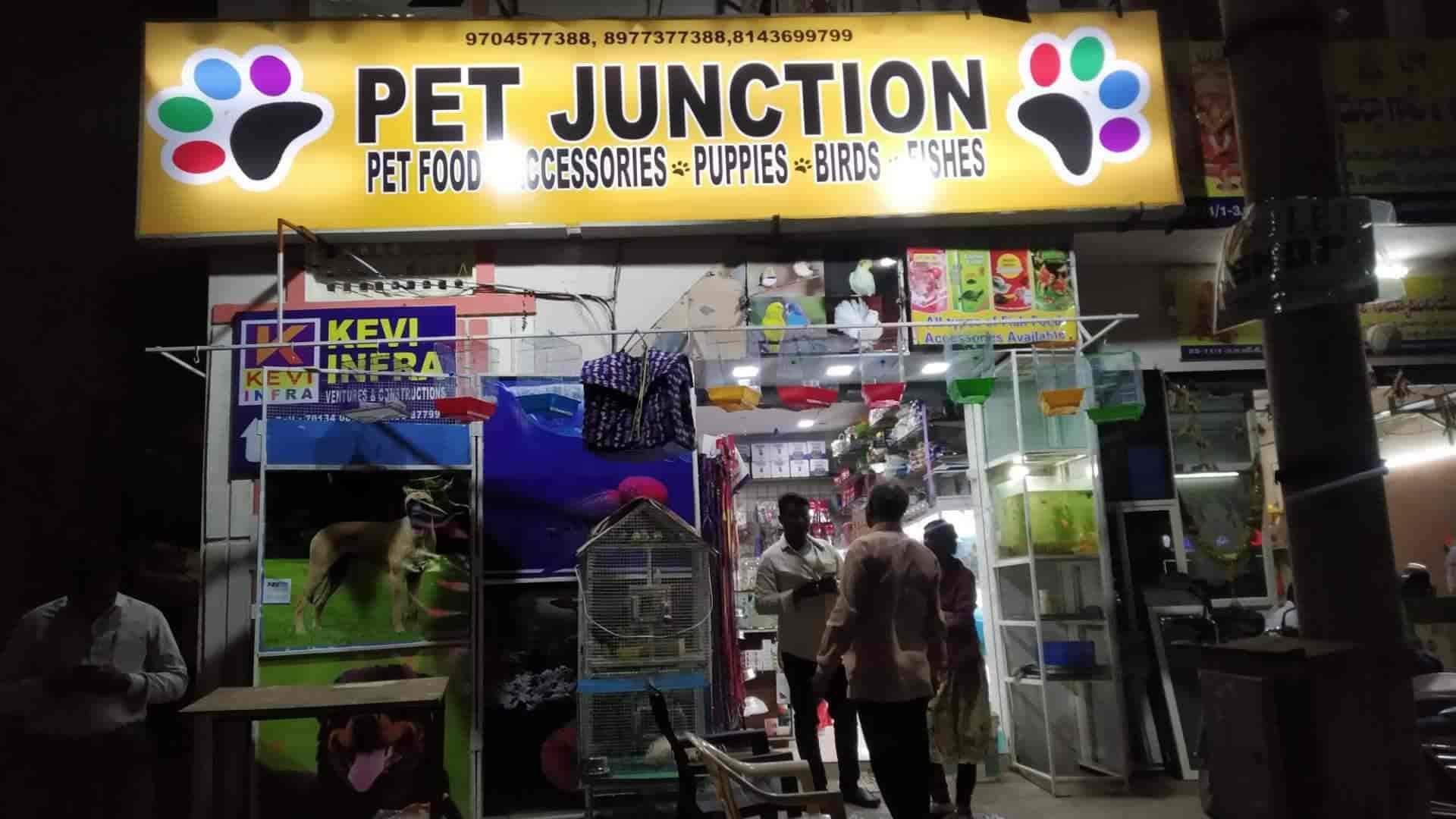 Top 10 Pet Shops For Dobermann Dog in Vijayawada Best Pet Shop Dog