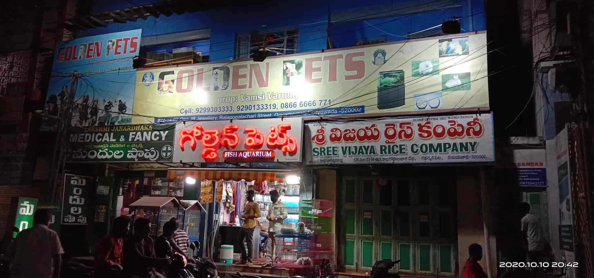 Golden Pets Photos, Governerpet, Vijayawada Pictures & Images Gallery