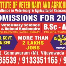 Top Veterinary Science Colleges in Vijayawada - Best Veterinary Colleges - Justdial Top Veterinary Science Colleges in Vijayawada - Best Veterinary Colleges - Justdial