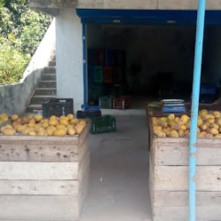 Top Fruit Vendors in Villupuram - Best Fruit Dealers near me ...
