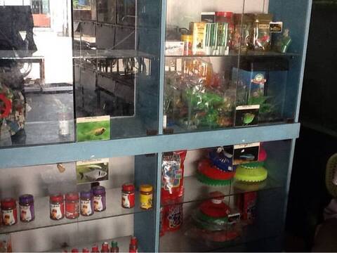 Fishnet Aquarium in Lakshmi Nagar Virudhunagar Best Pet Shops near me in Virudhunagar Justdial