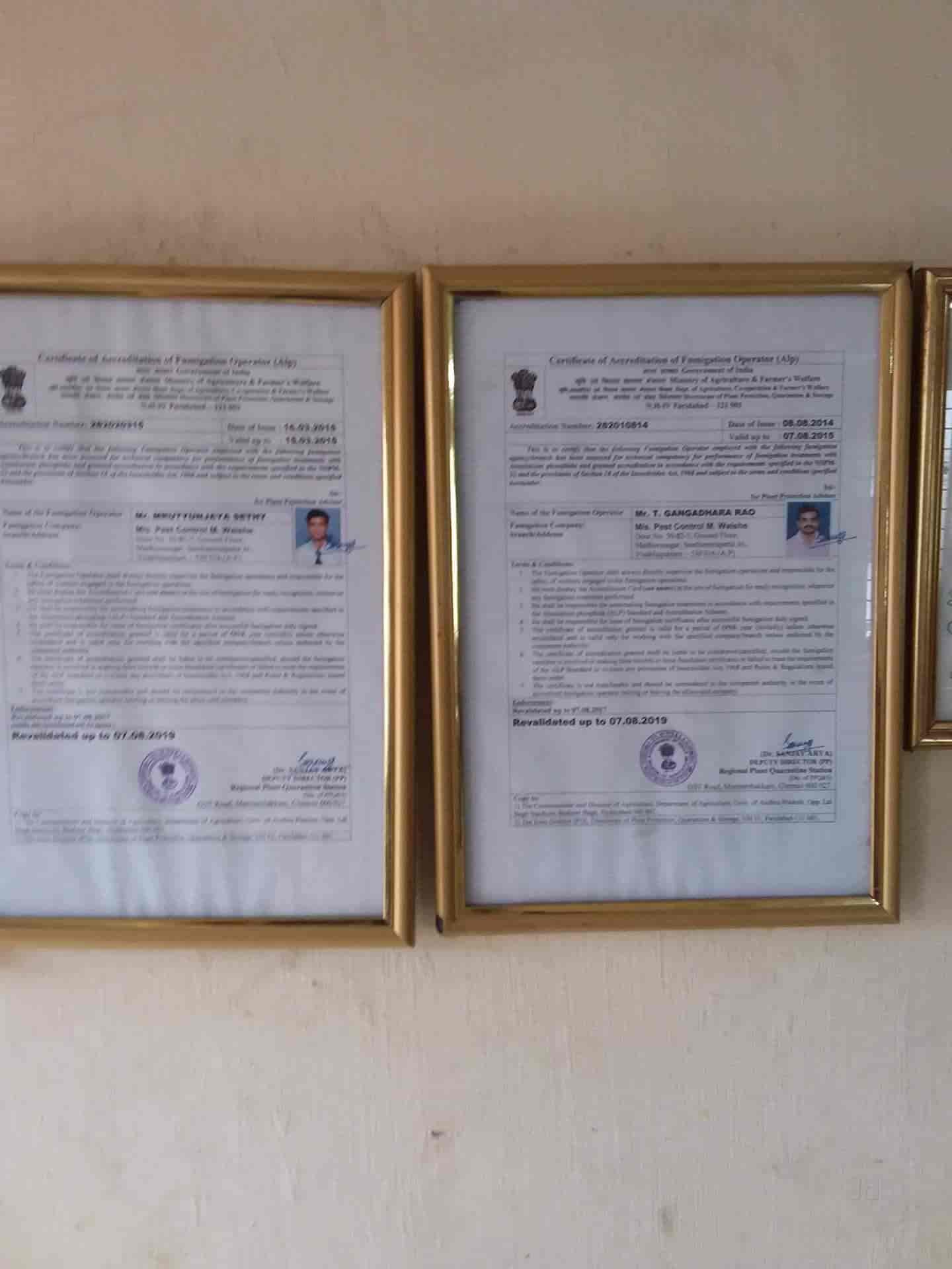 Pest Control M Walshe in Madhura Nagar,Visakhapatnam Best Pest