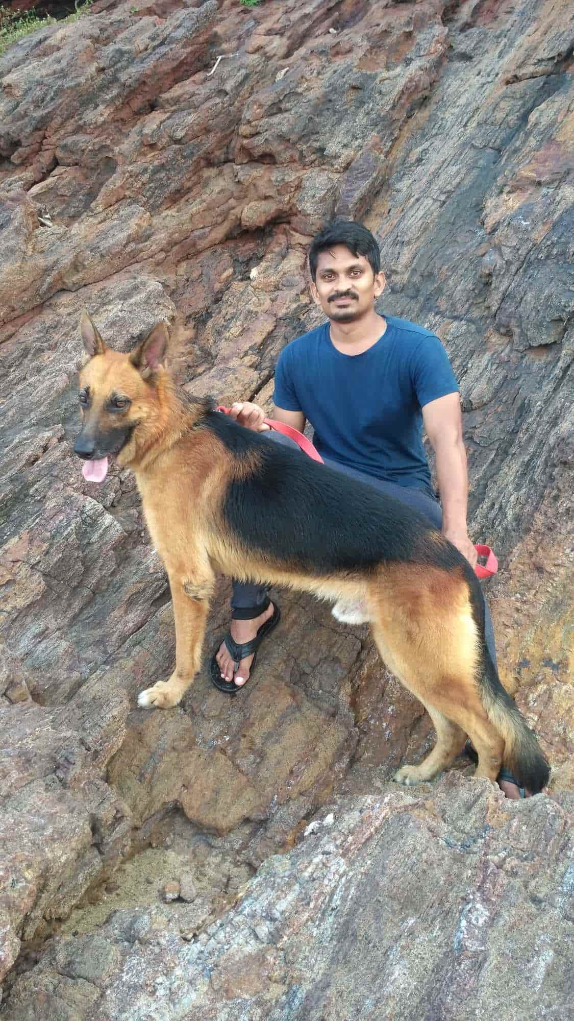 Sea Guard Kennels in Madhurawada,Visakhapatnam Best Pet Shops in