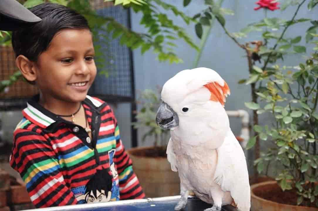 Sea Guard Kennels in Madhurawada,Visakhapatnam Best Pet Shops in